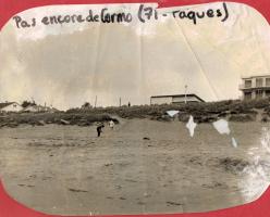 Cormorane 